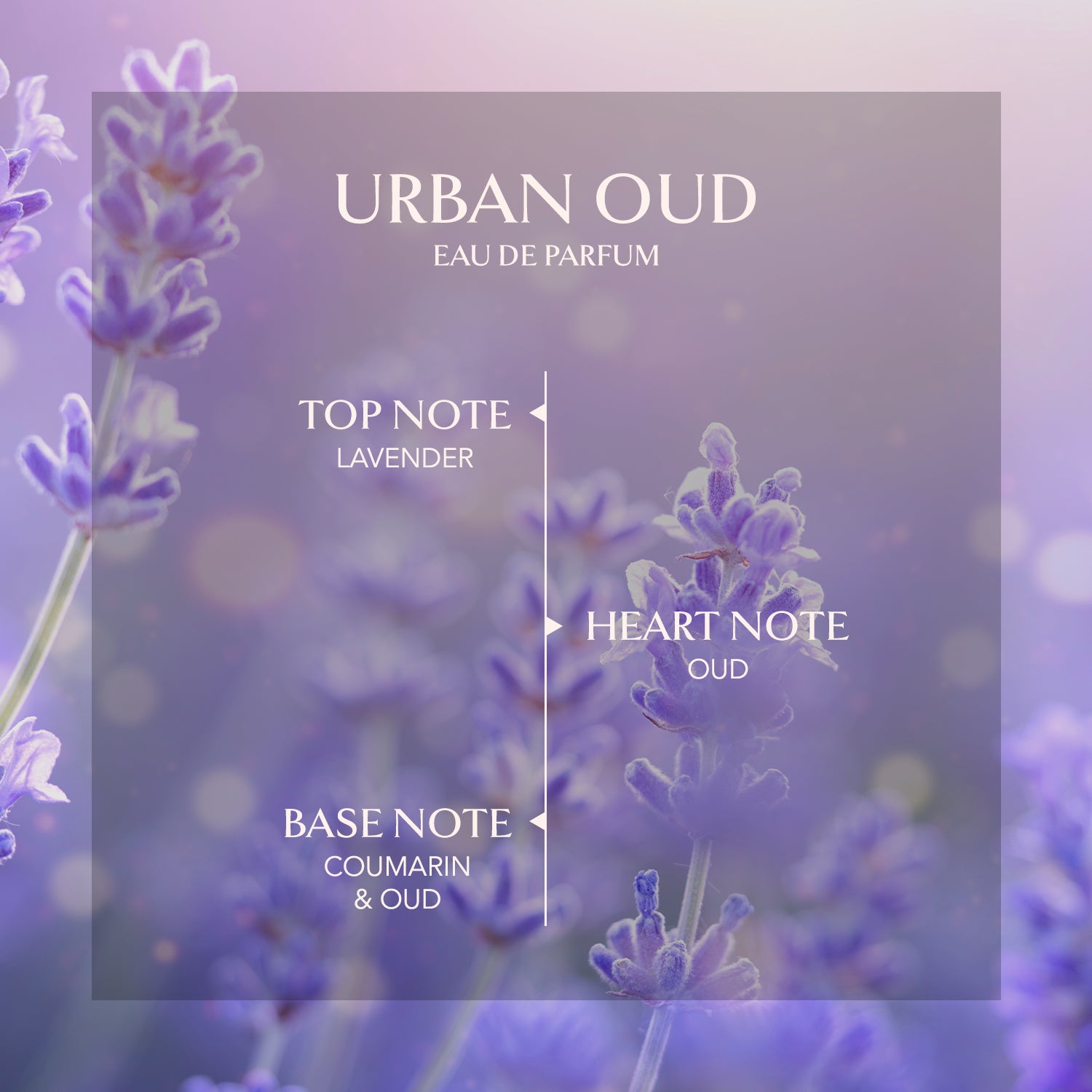 EMBAROUGE URBAN OUD
